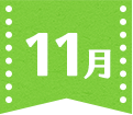 11月